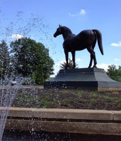An OTTB Enthusiast’s First Trip to the Bluegrass State