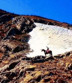 Weekly Instagram Round-Up