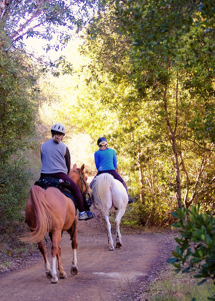 Riding Safe During Hunting Season HORSE NATION