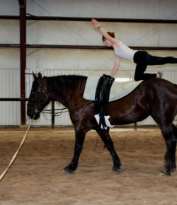 Revisiting a Horse-crazy Childhood Dream…