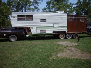 Best of Craigslist: ‘Ah! No’ Edition | HORSE NATION