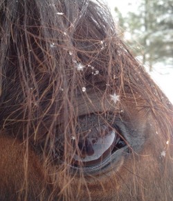 10 Reader-Submitted Photos of the First Snow