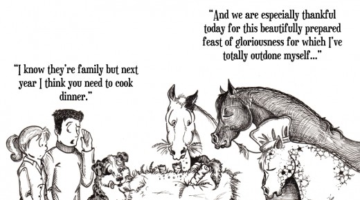 The Idea of Order: Happy Turkey Day…?