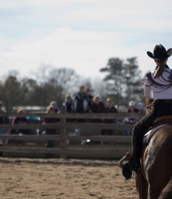 University of Tennessee at Martin Drops Equestrian Team