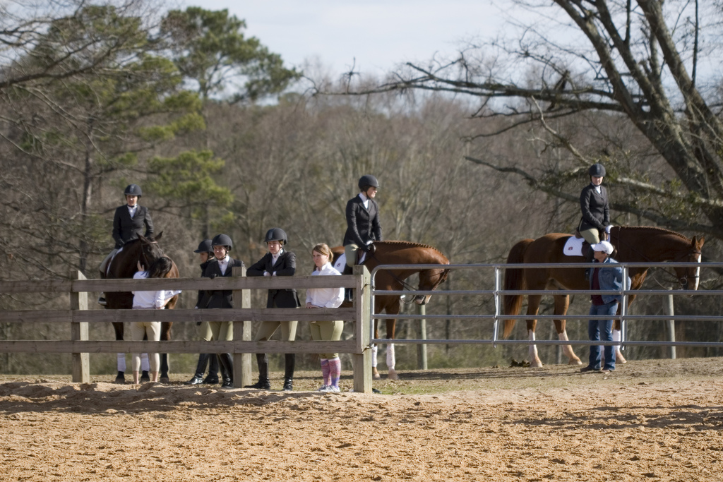 University of Tennessee at Martin Drops Equestrian Team HORSE NATION