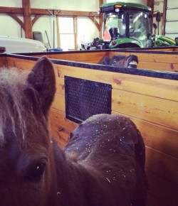 Weekly Instagram Round-Up