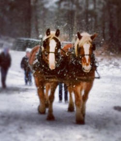 Holiday Confessions of a Santa Driver