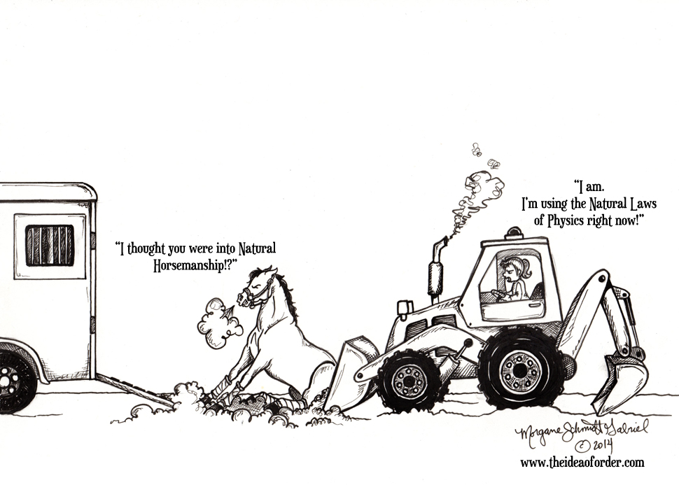 Sometimes a Carrot Stick Just Doesn’t Cut It HORSE NATION