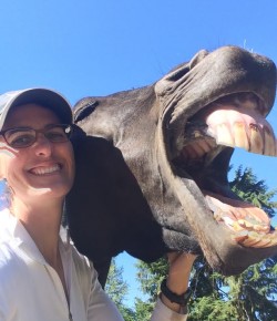 Horse Haiku of the Day, by Erin Recke