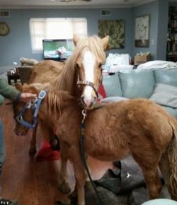 Best of Craigslist: ‘Lord Help Us All’ Edition