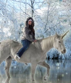 Best of Craigslist: ‘Dream Horse’ Edition