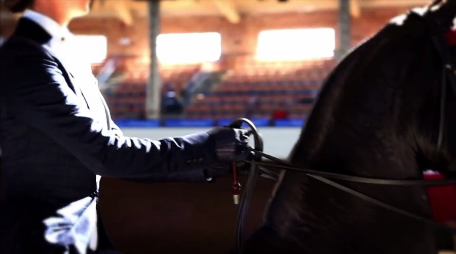 3 Things You Didn’t Know About Saddle Seat Equitation HORSE NATION