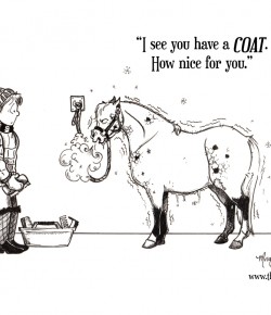 The Idea of Order: Winter Coats…