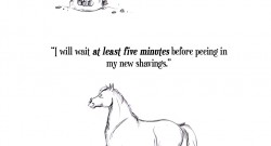 The Idea of Order: If Horses Made New Year’s Resolutions…