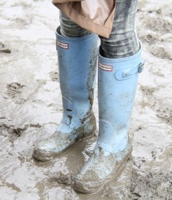 Horse Haiku of the Day, by Mary Daniel