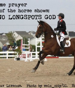 Horse Haiku of the Day, by Margaux Lavenue