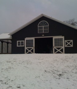 Horse Haiku of the Day, by Melanie laCour