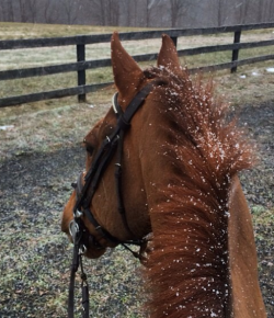 Weekly Instagram Round-up