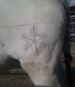 8 Reader-Submitted Creative Clips