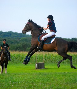 HN Christmas Carols: ‘It Came Completely From Nowhere’