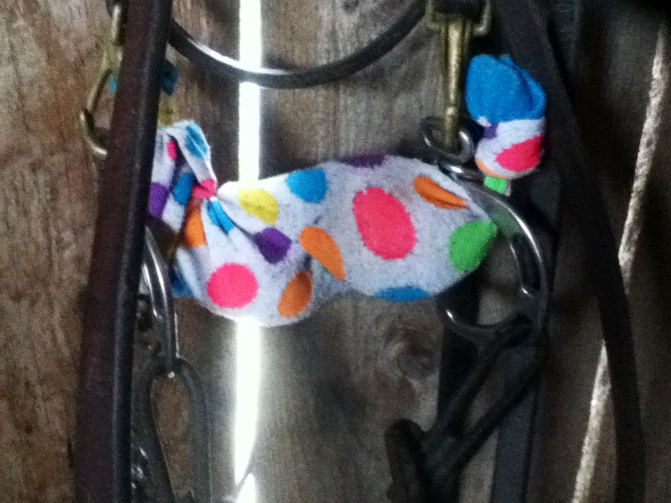 DIY Nation How to Make a Bit Warmer HORSE NATION