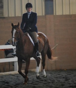 Horse Haikus of the Day, by Laurie Jakobsen