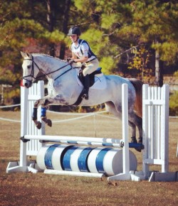 Horse Haiku of the Day, by Jane Polk