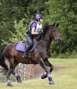 Horse Haiku of the Day, by Kelly Hageman