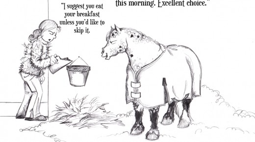 The Idea of Order: Polar Fleece & Hay