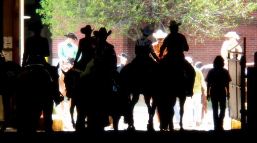 The AQHA Protect Them Coalition: Saving America’s Horse