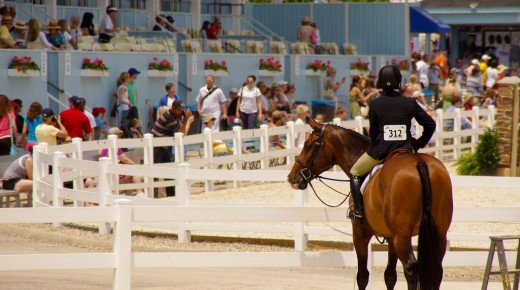 The Devon Horse Show Faces an Uncertain Future