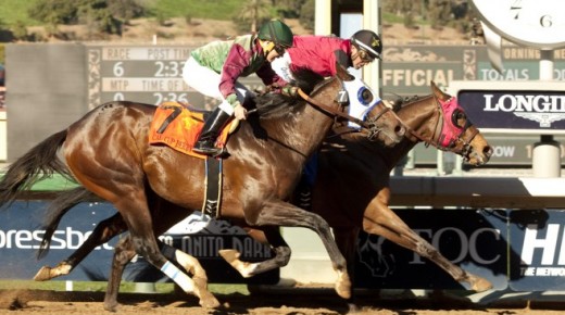 Tough Sunday: Last in the Cal Cup Derby, First in Our Hearts