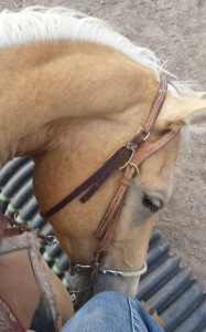 Screen Shot 2015-01-13 at 7.27.33 PM