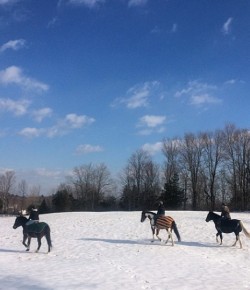 Weekly Instagram Round-Up