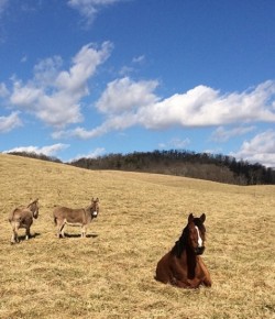 Weekly Instagram Round-Up