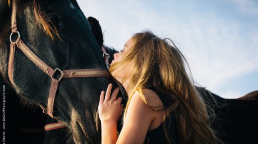 Field Without Fences: A Photo Essay