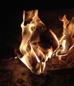 Do You See a Horse in This Flame?