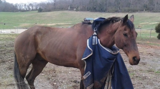 To Blanket or Not to Blanket? NOBODY CARES