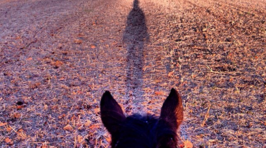 Weekly Instagram Round-up