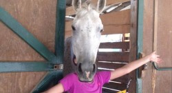 Reader-Submitted Horse Head Selfies