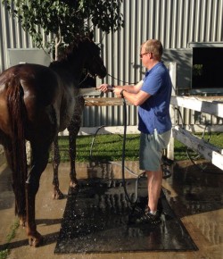 14 Reader-Submitted Horse Husbands (And Boyfriends)