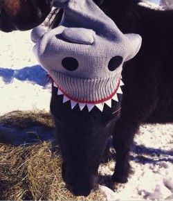 Weekly Instagram Round-Up