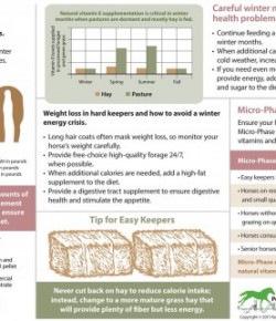 Kentucky Performance Products: Feeding Special Needs in the Winter