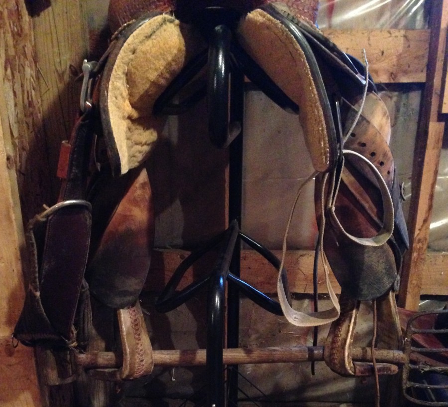 How to Break in a Western Saddle HORSE NATION