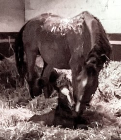 Weekly Instagram Round-Up