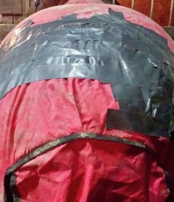 Weekly Instagram Round-Up