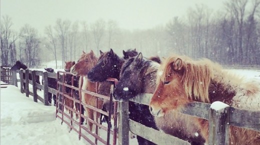 Weekly Instagram Round-Up