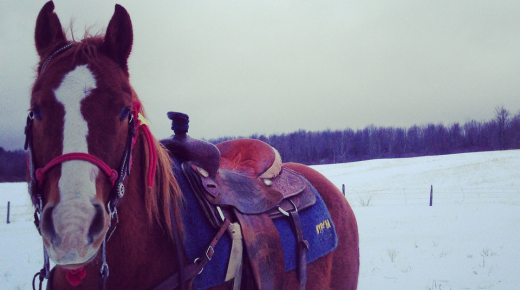 No Indoor, No Problem: Riding in the Snow