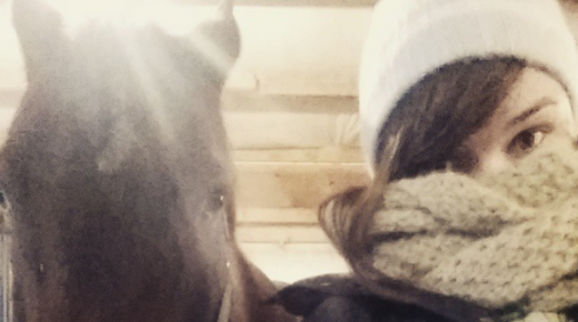 The Five Stages of an Equestrian Winter