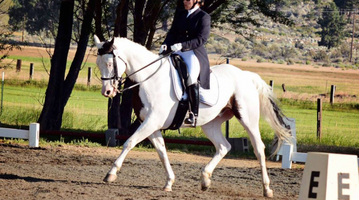 5 Non-Traditional Breed Horses Who Are Rocking It at Upper Level Dressage